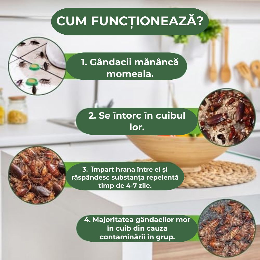 CAPCANĂ GEL ANTI-GÂNDACI