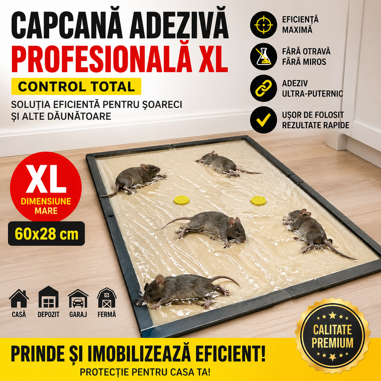 1+1 GRATIS: Capcane cu Lipici pentru Soareci si Sobolani